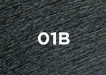 01b