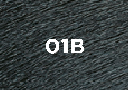 01b