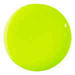 12128664_3-webp