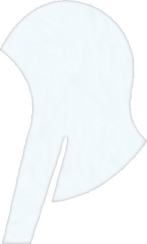 21hsij3_awl_1