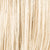 champagne_rooted