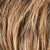 debbie_lightbernstein_rooted