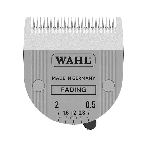 fading_blade_hero-webp