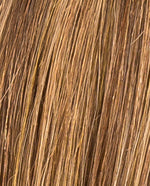 illusion_bernstein_rooted