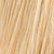 illusion_champagne_rooted