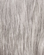 m56s7BeArbykA6Yro