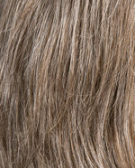 middle-grey-shad