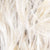 platin-blonde-shaded