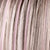 pastel_rose_rooted