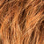 safranred rooted