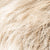 stay_lightchampagne_rooted