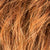 tab_safranred_rooted